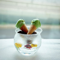 Pistachio Vista Afternoon Tea for Two at The Mistral