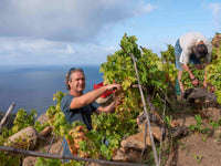Five-course Bibi Graetz Wine Dinner | 18 September 2026