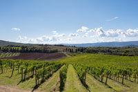 Five-course Bibi Graetz Wine Dinner | 18 September 2026